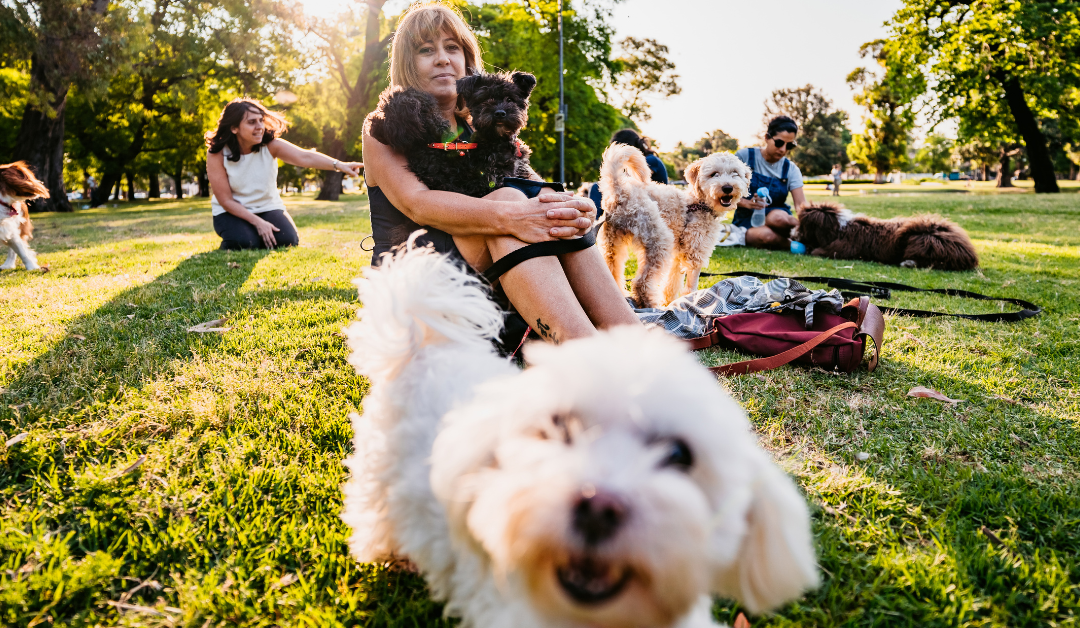 Where Pets Thrive: Crafting the Ideal Pet-Inclusive Apartment Community