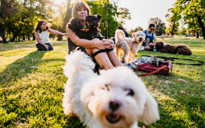 Where Pets Thrive: Crafting the Ideal Pet-Inclusive Apartment Community