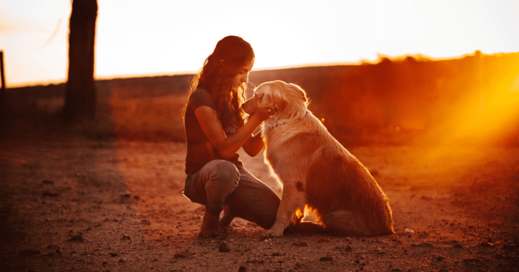 4 Things Rental Property Owners Can Do Now to Help People and Pets Affected by LA's Wildfires