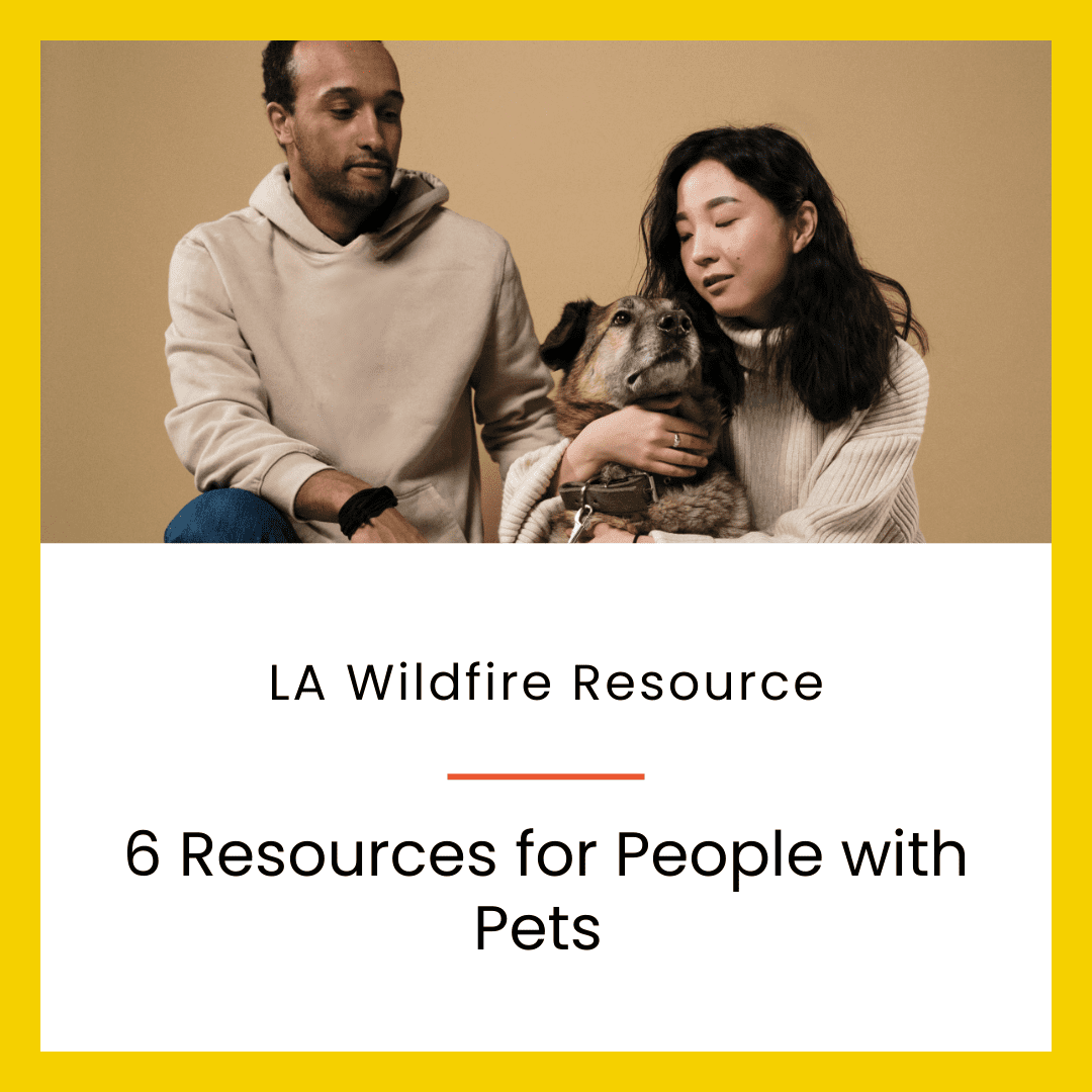 6 resources for people with pets - a man and woman holding a dog